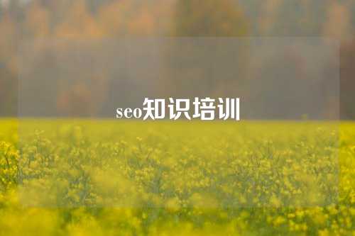 seo知识培训