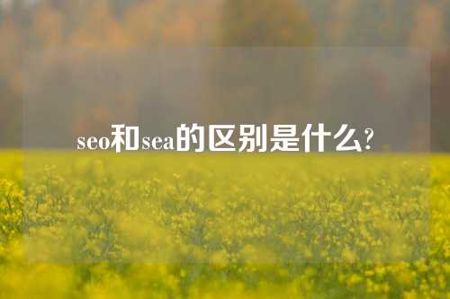 seo和sea的区别是什么?