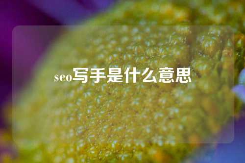 seo写手是什么意思