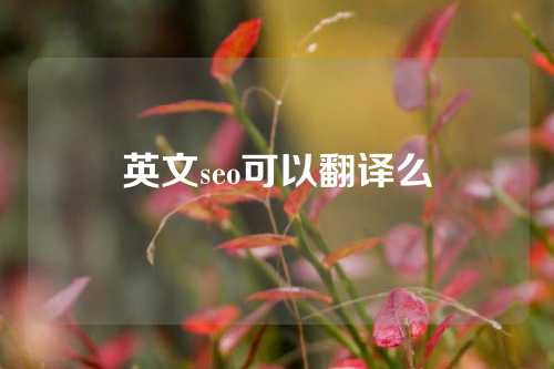 英文seo可以翻译么