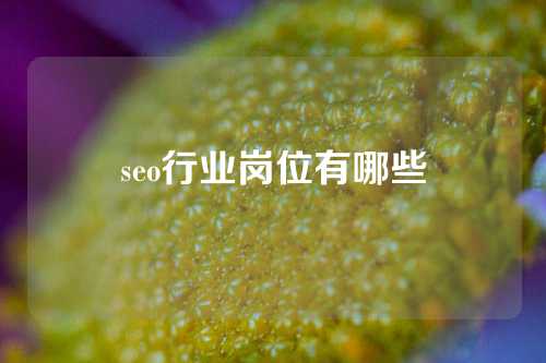 seo行业岗位有哪些