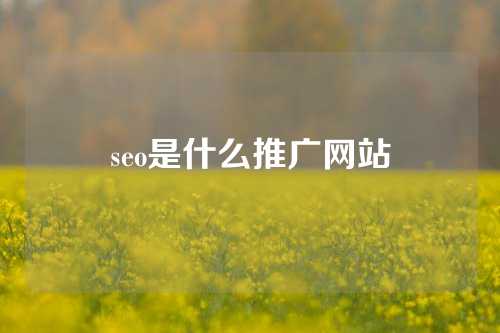 seo是什么推广网站