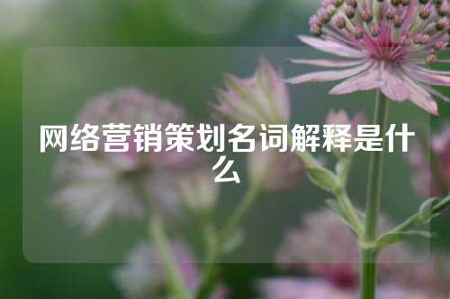 网络营销策划名词解释是什么