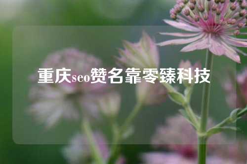 重庆seo赞名靠零臻科技