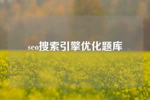 seo搜索引擎优化题库