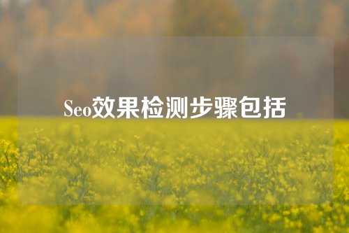 Seo效果检测步骤包括