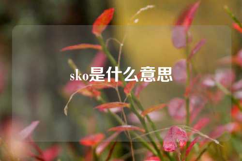 sko是什么意思