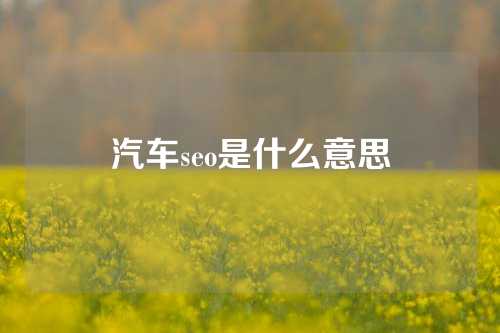 汽车seo是什么意思