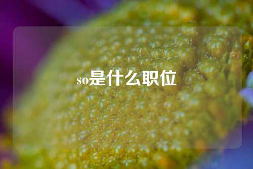 so是什么职位