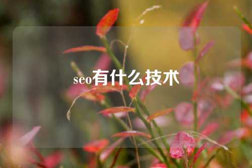 seo有什么技术