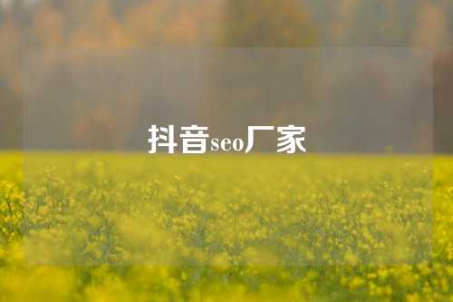 抖音seo厂家