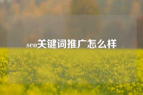 seo关键词推广怎么样