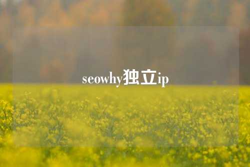 seowhy独立ip