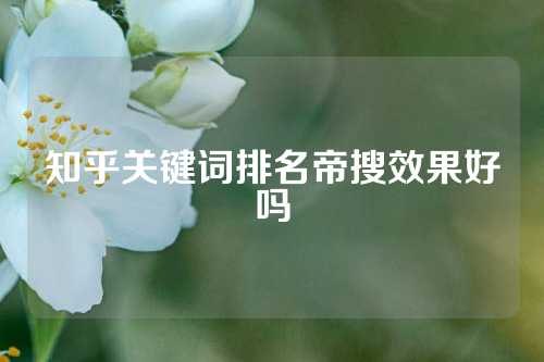 知乎关键词排名帝搜效果好吗