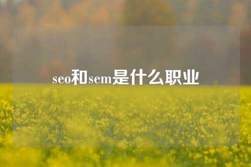 seo和sem是什么职业