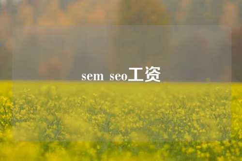 sem seo工资