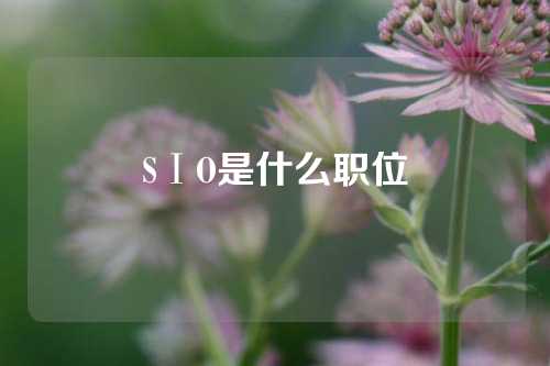 SⅠO是什么职位