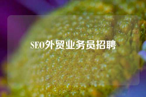 SEO外贸业务员招聘