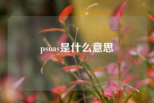 psoas是什么意思