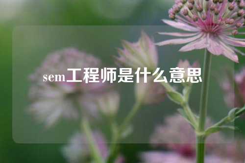 sem工程师是什么意思