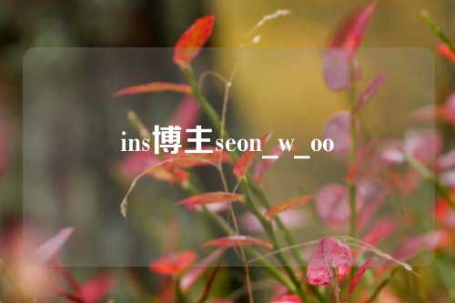 ins博主seon_w_oo