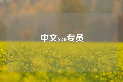 中文seo专员