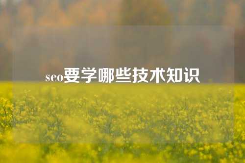 seo要学哪些技术知识