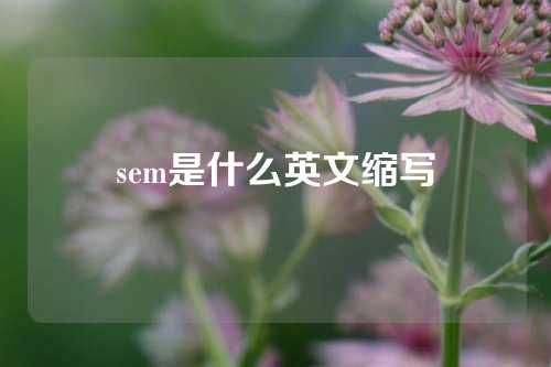 sem是什么英文缩写