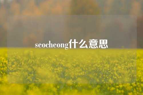 seocheong什么意思