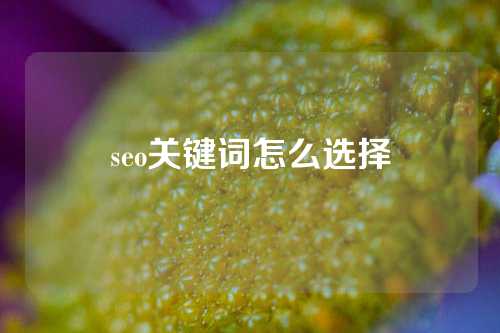 seo关键词怎么选择