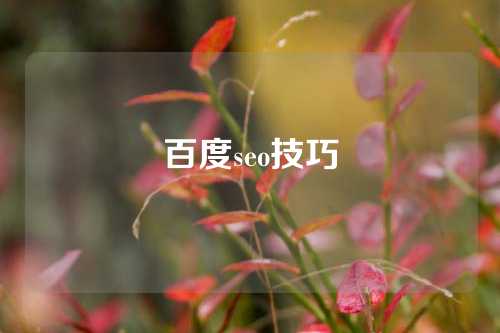 百度seo技巧