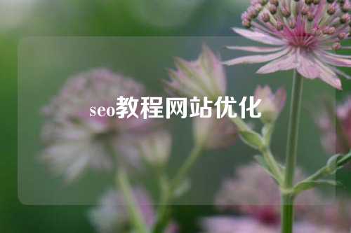 seo教程网站优化