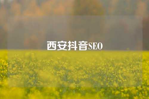 西安抖音SEO