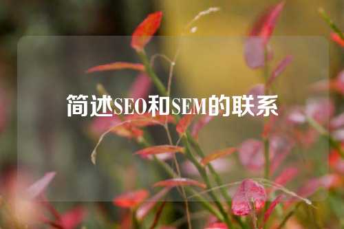 简述SEO和SEM的联系