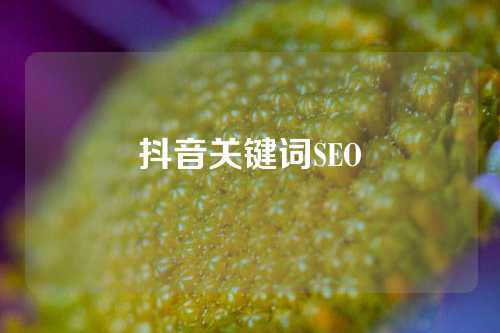 抖音关键词SEO