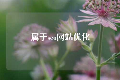 属于seo网站优化