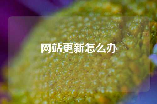 网站更新怎么办