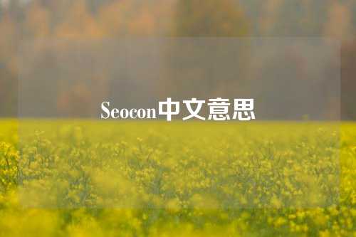 Seocon中文意思