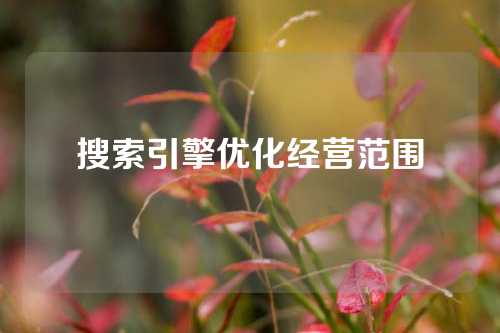 搜索引擎优化经营范围