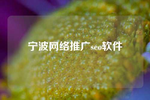 宁波网络推广seo软件