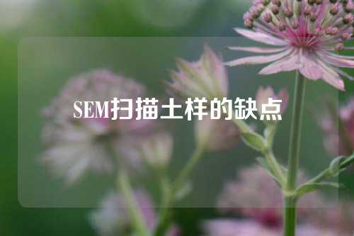 SEM扫描土样的缺点