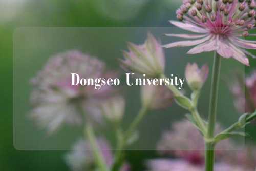 Dongseo University