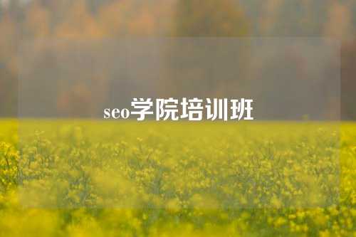 seo学院培训班