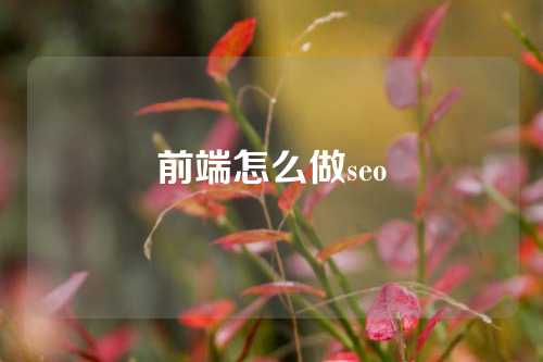 前端怎么做seo