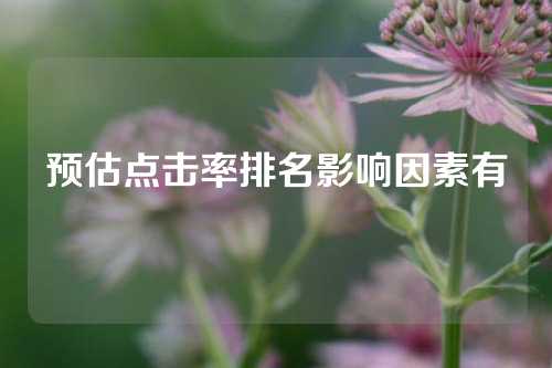 预估点击率排名影响因素有