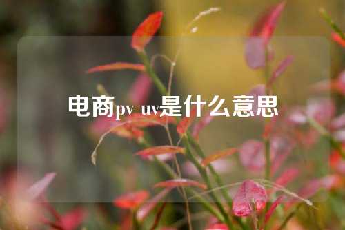 电商pv uv是什么意思