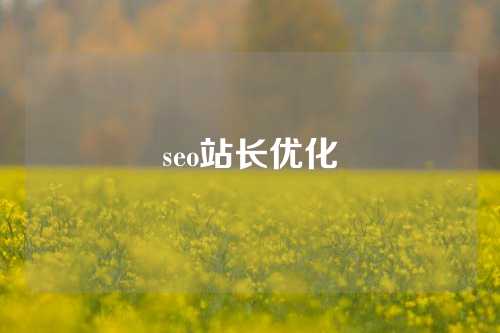 seo站长优化