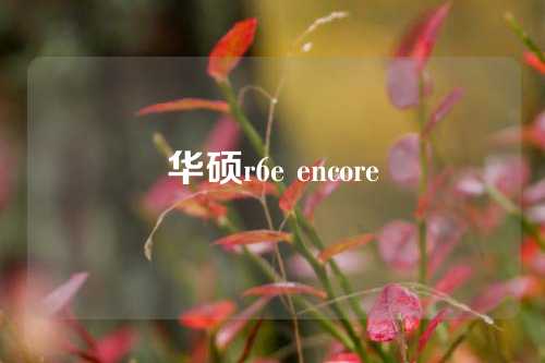 华硕r6e encore