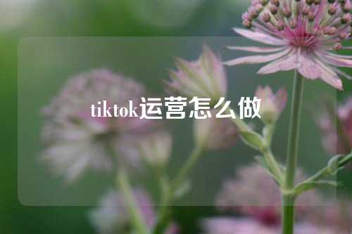 tiktok运营怎么做