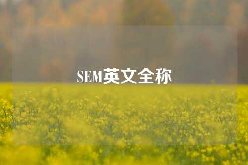 SEM英文全称